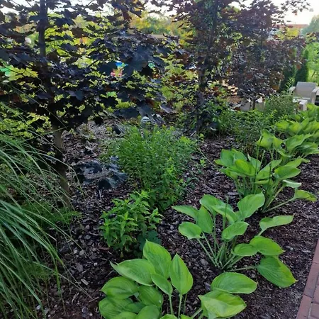 Dwor U Papuga Appartamento Ruciane-Nida