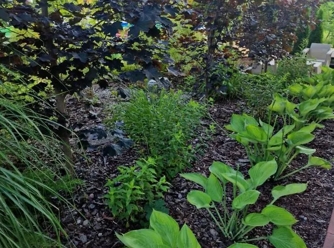 Dwor U Papuga Apartment Ruciane-Nida